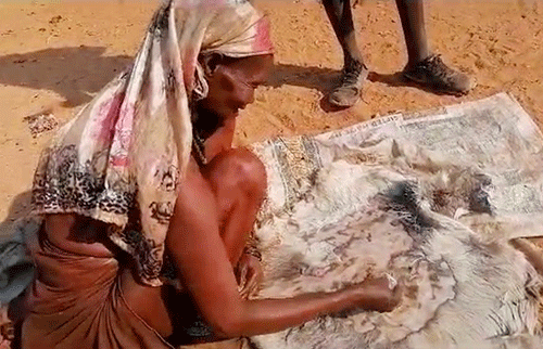 Destitute Ovatjimba forced to eat goat skin