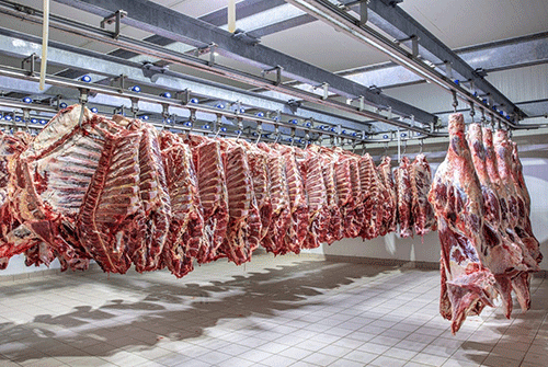 Bids for lucrative Norwegian beef quota open