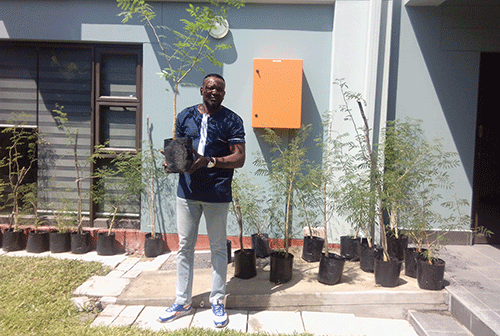 Oniipa Town Council to plant trees