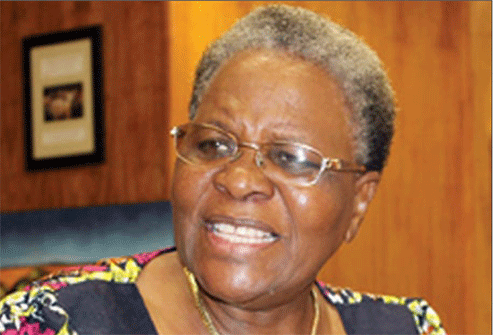 Nandi-Ndaitwah calls on SADC to fight malaria
