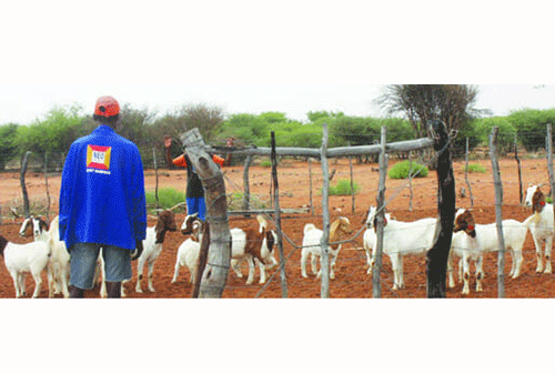 Resettlement benefits small-scale farmers