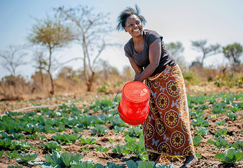 Iipumbu wants funding, market access for women farmers