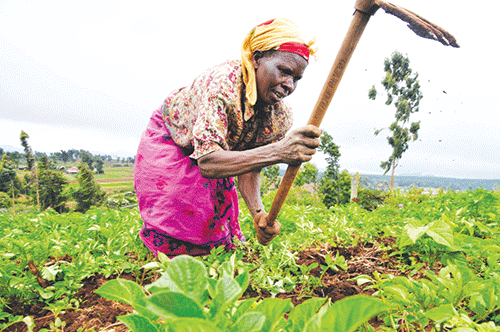 Agribank, KfW N$400m agreement targets rural farmers