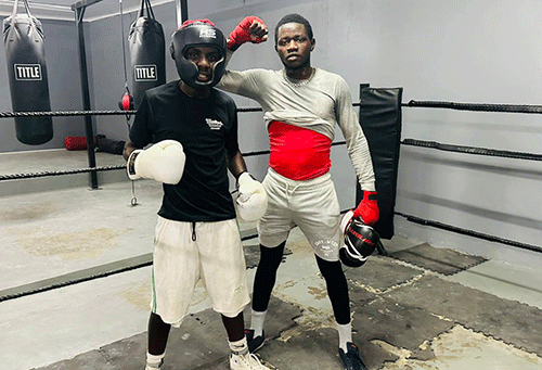 Teremoto boxing stable aims for dominance