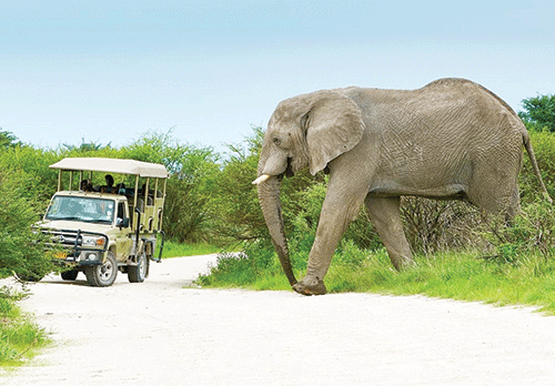 Local travellers disappoint NWR … as only 10% Namibians frequent resorts