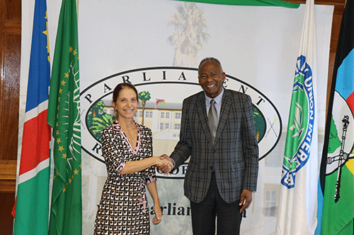 Brazil-Namibia relations need boosting