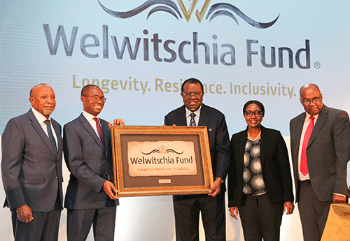 No budget allocation for Welwitschia Fund