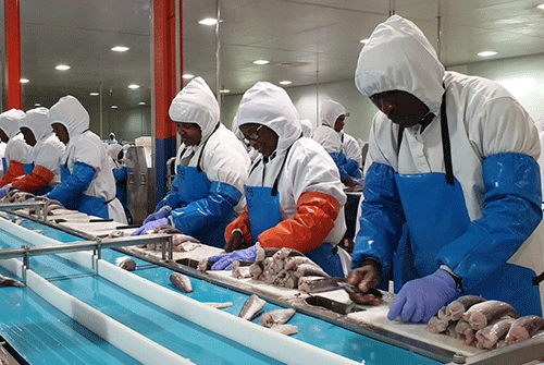 Government catches N$110 million hake windfall
