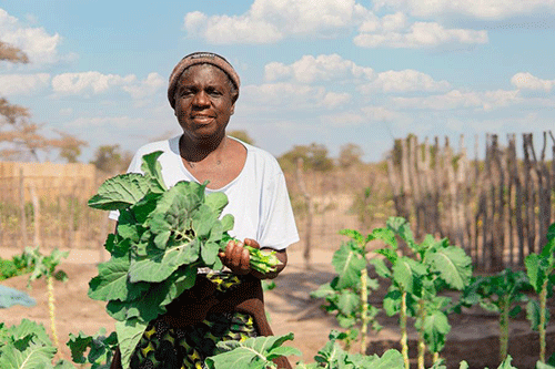 AMTA and WFP to strengthen Namibia’s food reserves