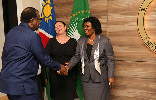 Geingob examines results with ministry’s leadership