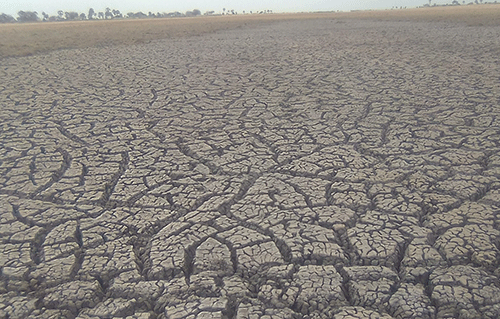 Namibia committed  to tackling land  degradation 