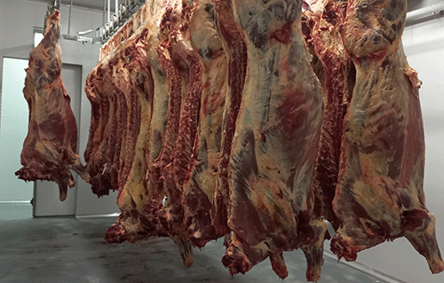 Meatco needs N$80m for Rundu abattoir
