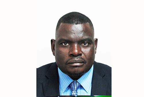 Opinion - Perfect Sense with Dr Daniel F Nyaungwa Formulating the Sixth National Development Plan