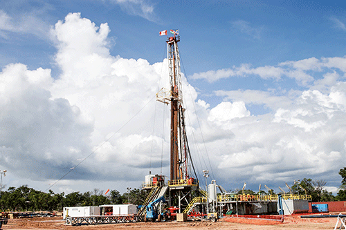 ReconAfrica confident of future drilling …interpreting seismic data from exploration wells