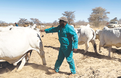 Oiled land ministry machinery delivers farms in two months