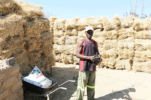 Jobless man finds success in harvesting grass