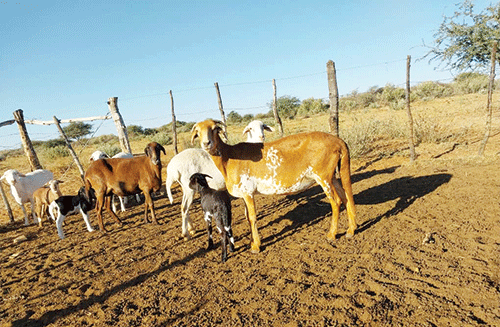 Farmers inducted on livestock breed selection