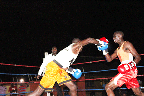 Amateur boxing set to dazzle northern parts 