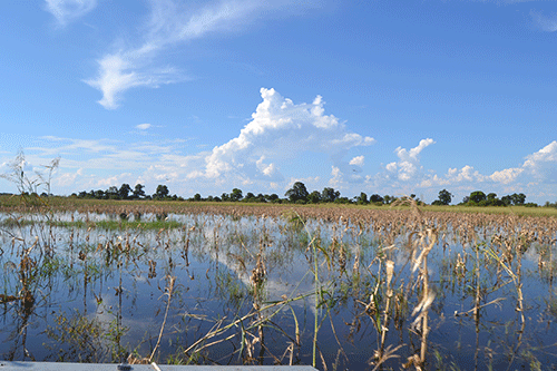 Drought-stricken farmers called to prepare crop fields ...as rainy season looms