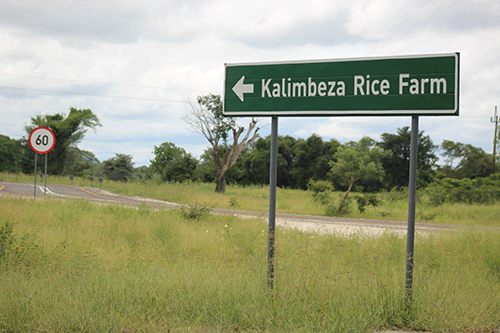 Kalimbeza consultancy services kick-started