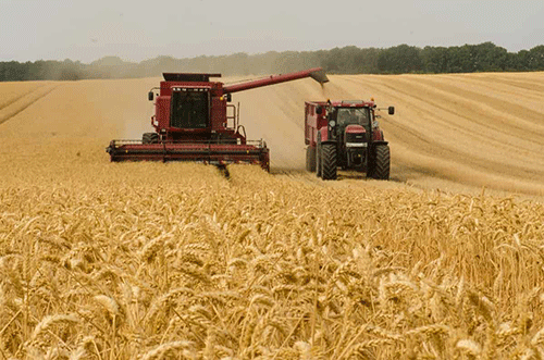 Agriculture - Agronomic board: Ensuring food security and quality