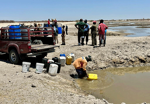 Farmers unhappy with NamWater’s canal rehab … livestock died of thirst