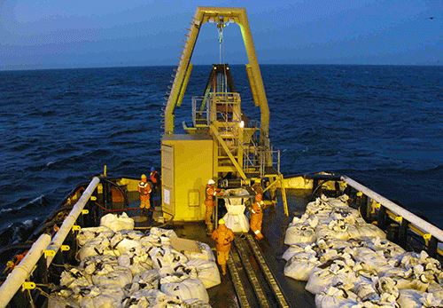Marine phosphate awaits enviro clearance