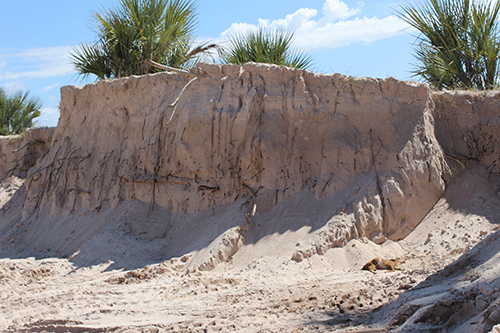 Sand mining at ancestral burial site irks residents