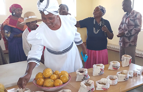 First-ever seed bank launched in Kavango West
