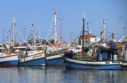 Commission investigates fishing vessel owners