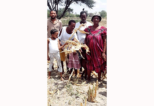Lack of water, markets hinder Tsumkwe farmers 