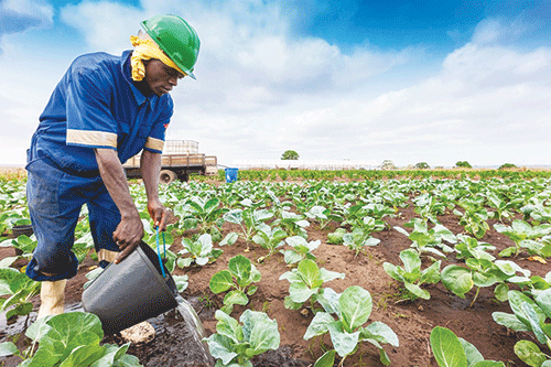 Accurate statistics vital for thriving agri sector: FAO