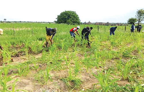 Irimari urges farmers to utilise agricultural subsidies
