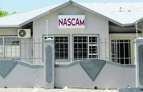 Local artists label Nascam ‘toothless’