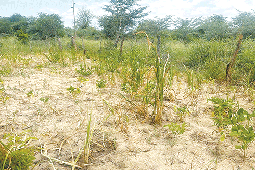 Police fear drought could fuel poaching