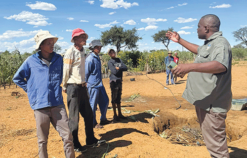 N$700 000 for Drimiopsis electrification, garden projects