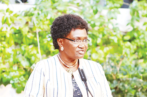 Kandjii-Murangi decries NSFAF funding ….minister warns student fund is not enough for new intakes