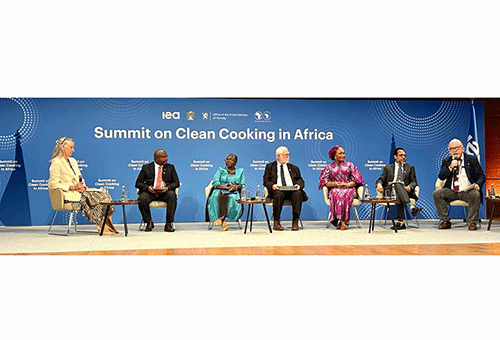 Africa must have economic capacity for clean cooking …Schlettwein calls for review of multilateral financial system