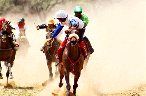 Top race horses to battle in Otjinene… close to 78 horses are expected