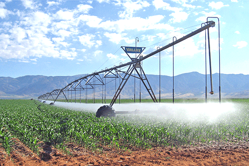 Venaani: More investment in irrigation infrastructure needed