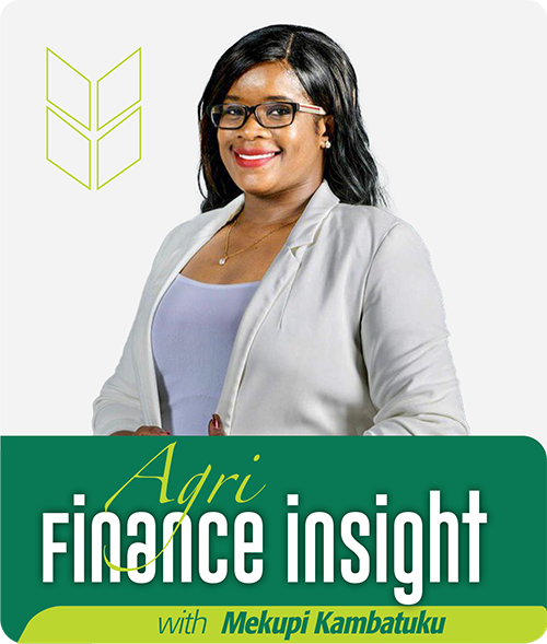 Finance insight with Mekupi Kambatuku - How to separate your personal finance from business finance