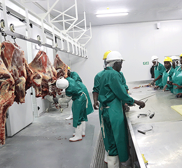 Meatco’s N$170 million Rundu abattoir operational