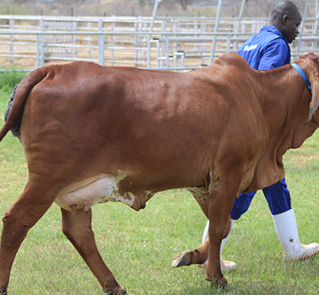 Agribank disburses loans worth N$173 million