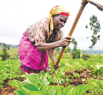 Agribank, KfW N$400m agreement targets rural farmers