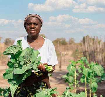 AMTA and WFP to strengthen Namibia’s food reserves