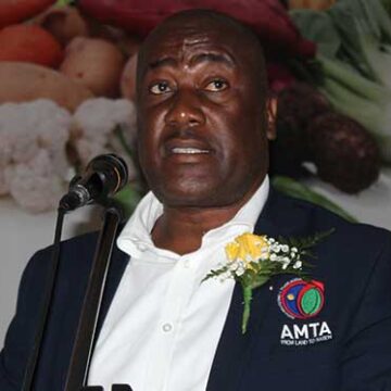 AMTA dismisses managing director