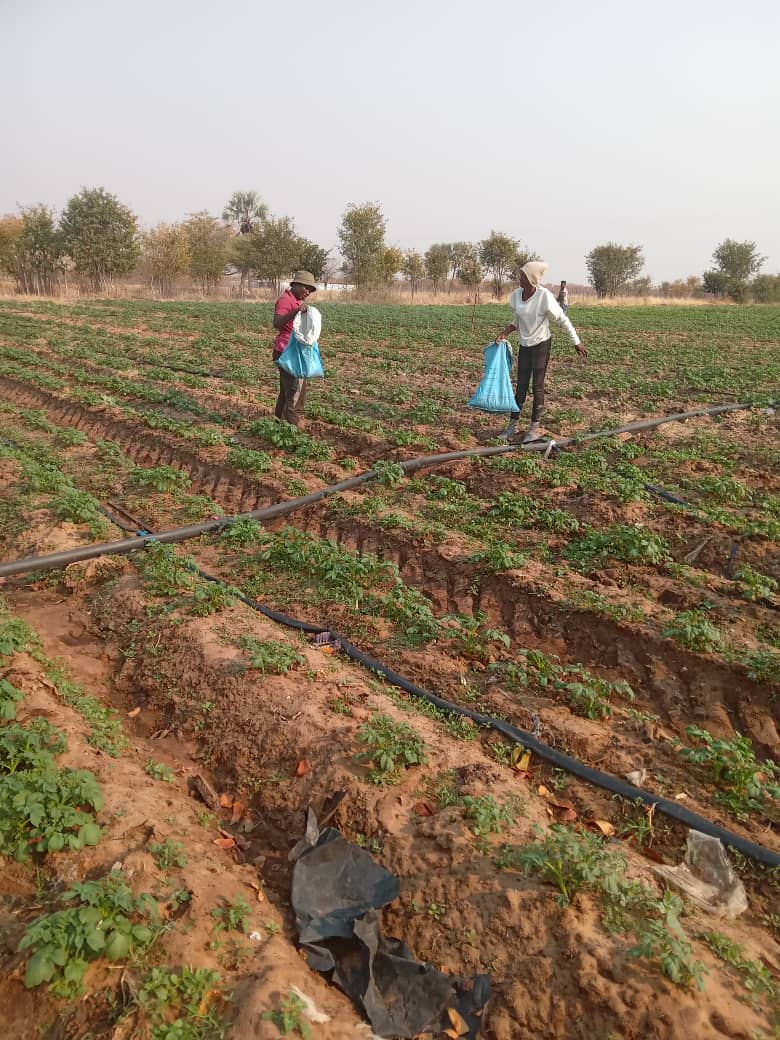 Financial constraints hamper AMTA operations… labelled a white elephant