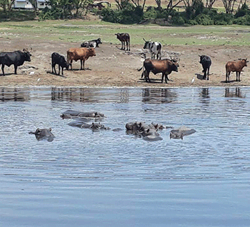 Inside Botswana’s international hunting windfall