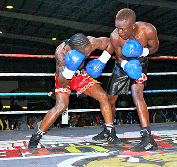 Kilimanjaro announces boxing bonanza