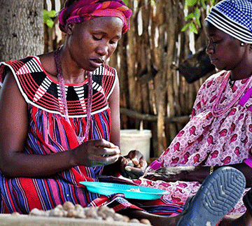 Breaking Beariers- Rural women  prosper with marula